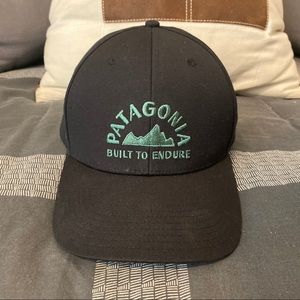 Brands new Patagonia classic logo hat
